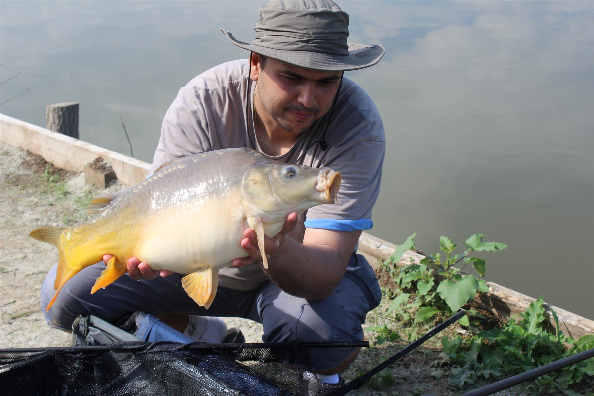 Hermes Peris 7 - 8 iunie 2014 - img7456.JPG